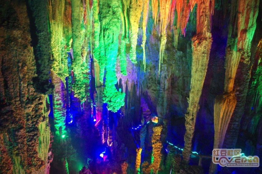 两会好声音丨周登高:让竹林成为美丽“湘”村的风景线